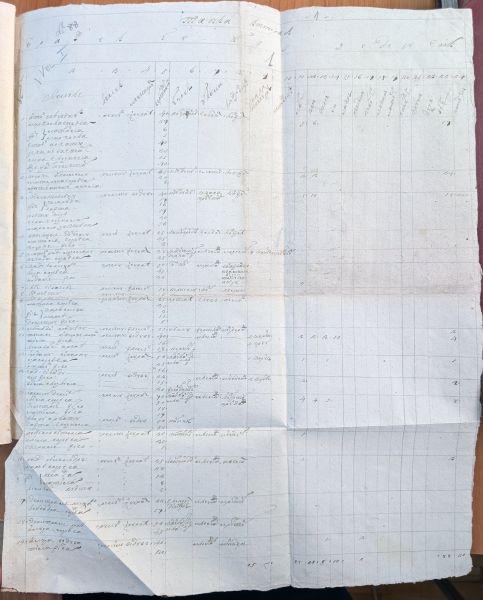 Fișier:Recensământul 1838, Bucov.jpg