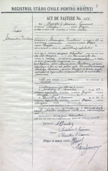 Fișier:Act de naștere 1914 Chiojdu.jpg